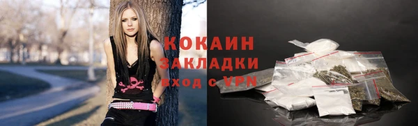 дмт Арсеньев