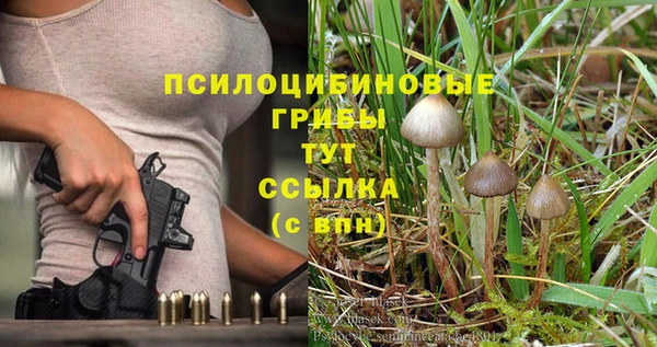 дмт Арсеньев