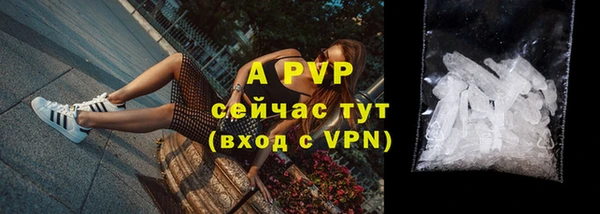 спиды Аркадак