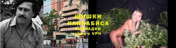 дмт Арсеньев