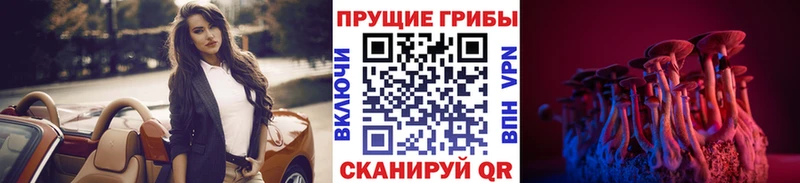что такое наркотик  Темрюк  Псилоцибиновые грибы Psilocybine cubensis 