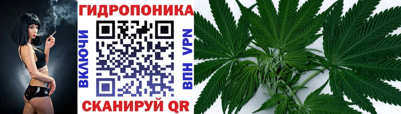 ОМГ ОМГ   Темрюк  Каннабис марихуана 
